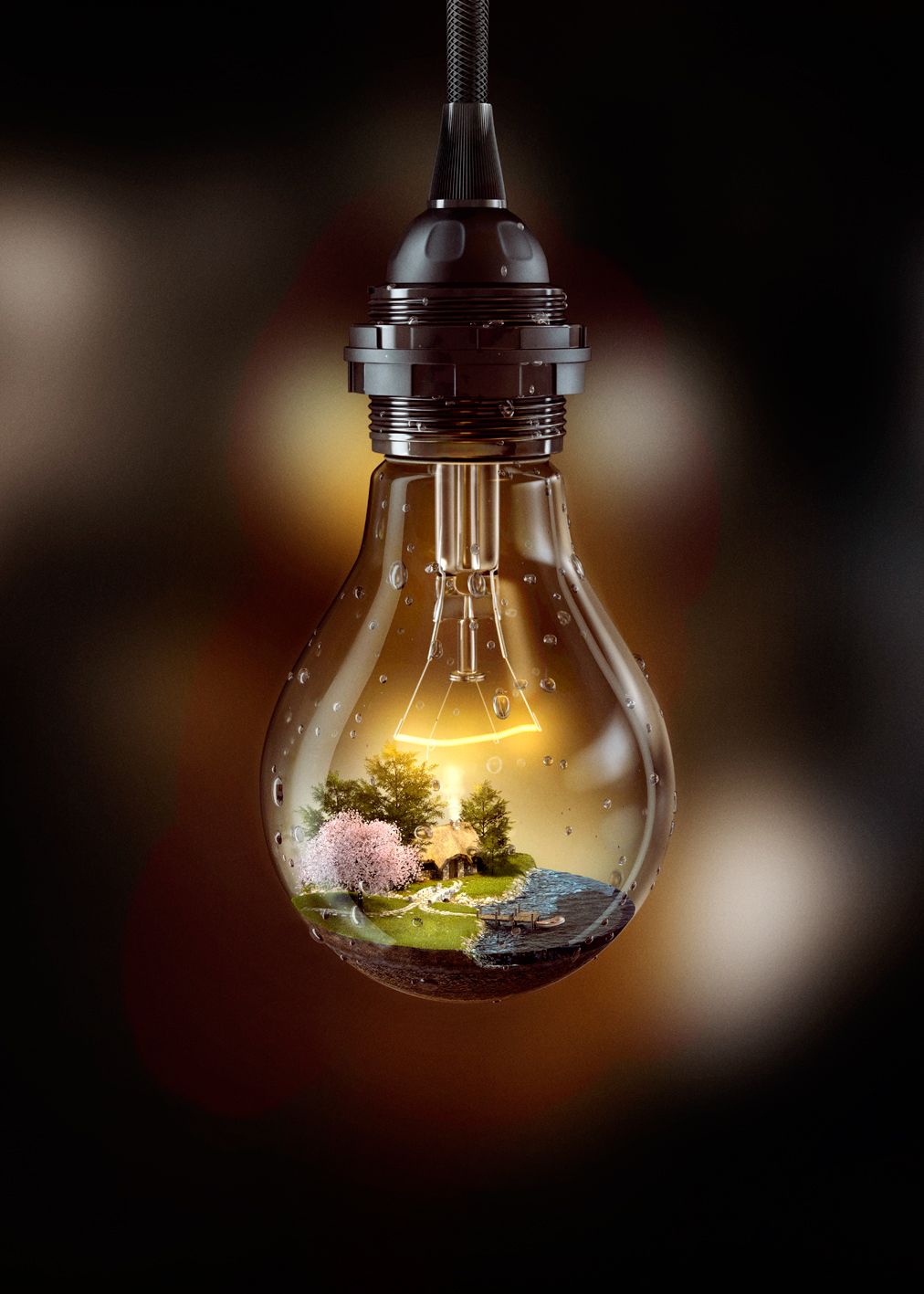 Light Bulb of Life on Behance | Bulb photography, Light bulb art