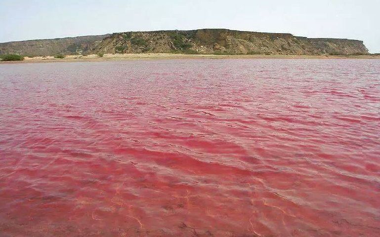 Pink Sea Sistan Baluchistan Province Iran Tourist Destinations Mausoleum Tourist