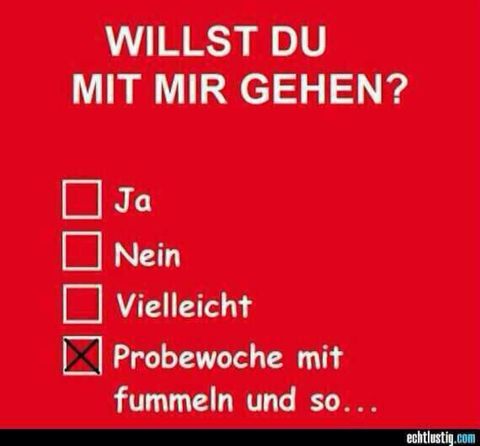 Lustige videos partnersuche