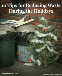 waste reduction during the holidays
