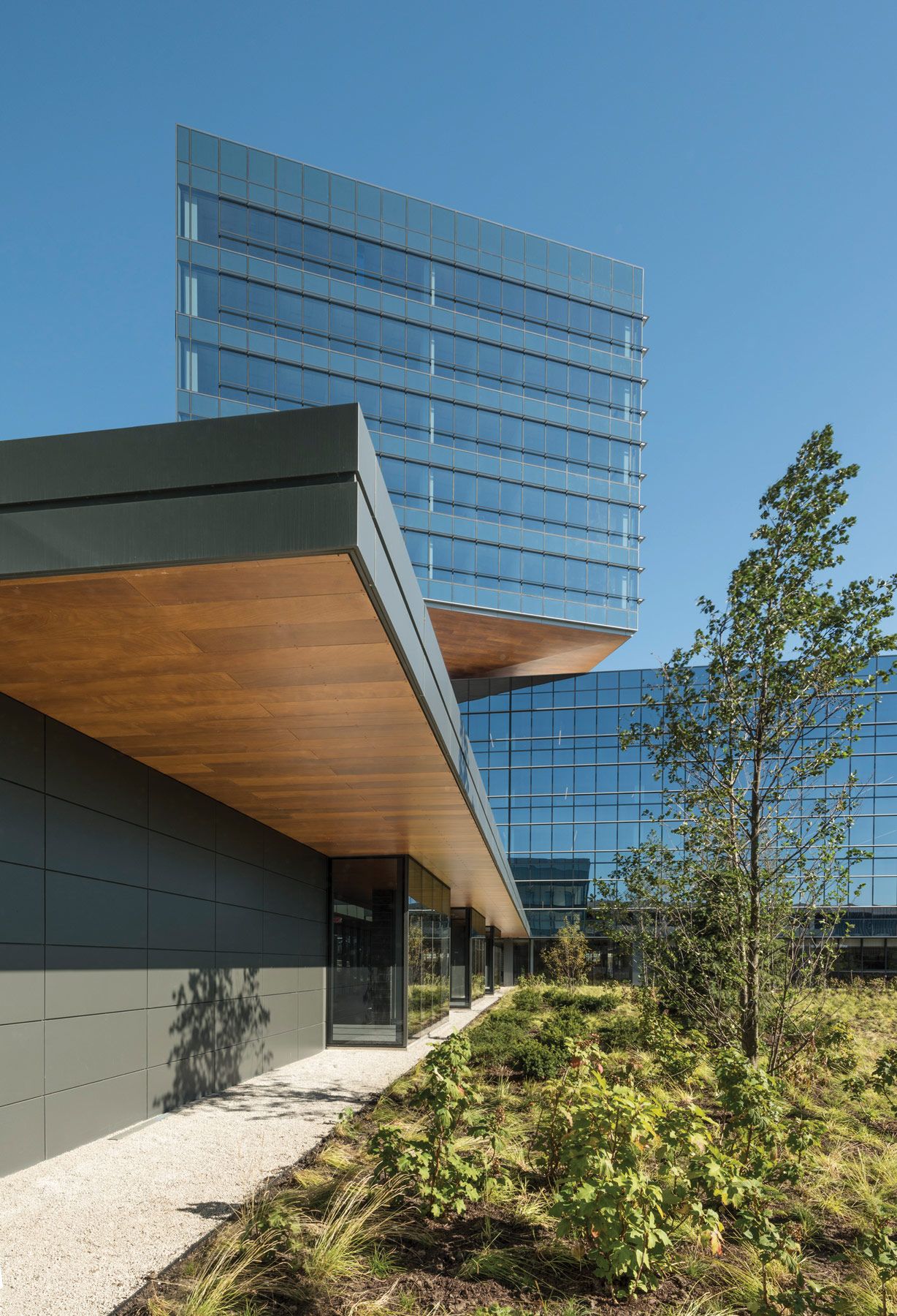 Goettsch Designs Ambitious Zurich Insurance North American Hq