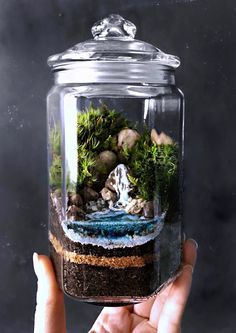 DIY terrarium : tuto et inspirations - Blog Déco - Clem Around The Corner