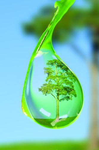 Natural resources essay