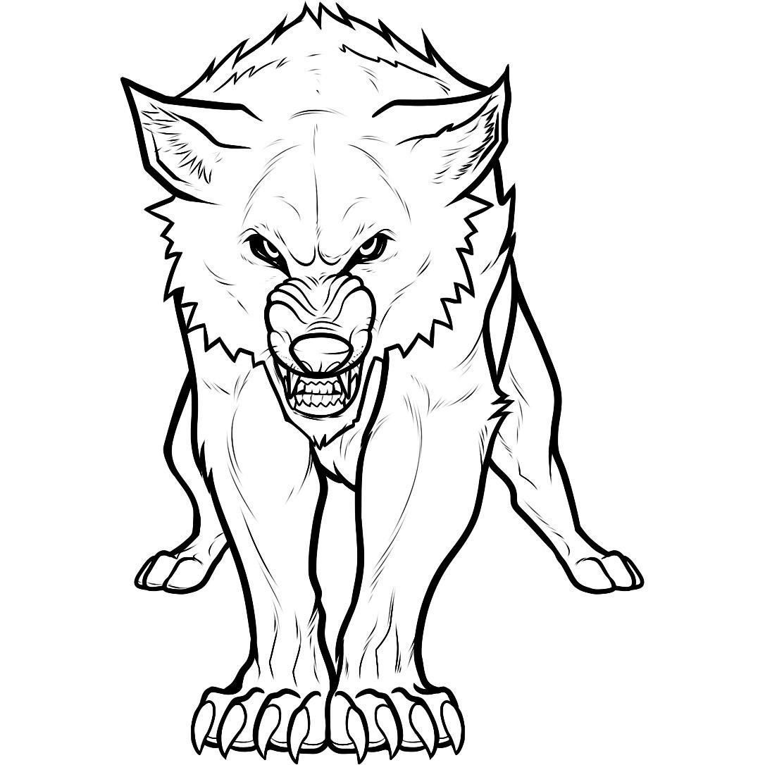 10 Coloring Page Wolf Wolf Head Drawing Wolf Paw Print Wolf Colors