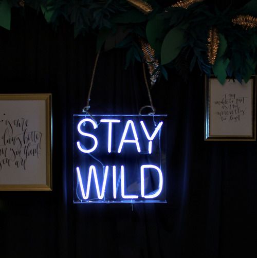 Don’t let them tame you. S The INFPC INFP Connection Custom neon Don’t let them tame you. S The INFPC INFP Connection Custom neon