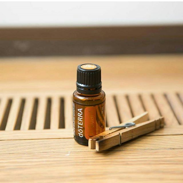Did you know that by putting a few drops of your favorite oil on a clothespin, it can make a cheap and easy diffuser? Stick one of these in your car air vent and keep the unpleasant car smell away! Diffuser Sticks, Car Smell, Organs, Doterra, Clothes Pins, Tricks, Aromatherapy, Usb Flash Drive, Essential Oils