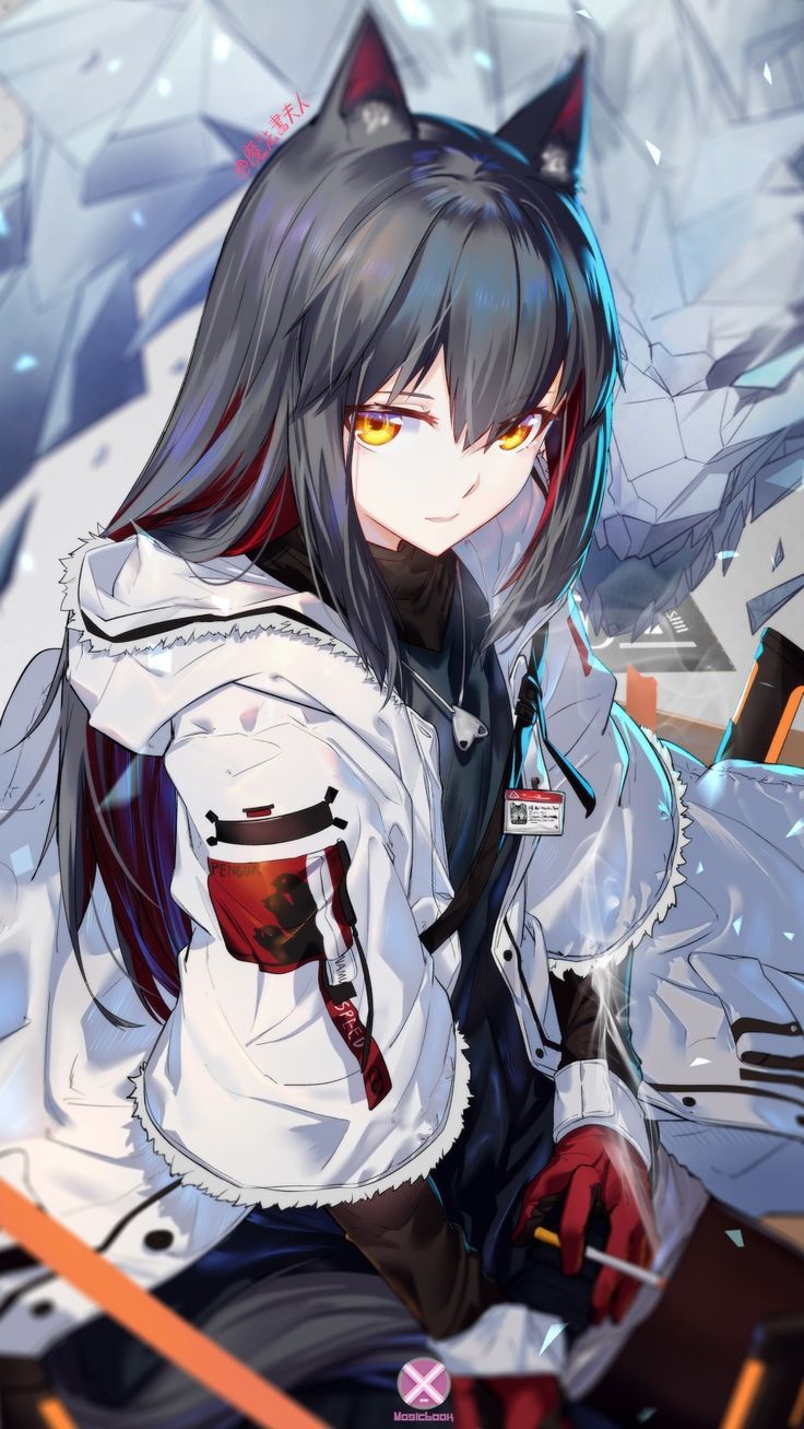 Anime Anime Characterdesignanime Anime Characterdesignanime クールな アニメの女の子 アニメ狼 アニメのネコ