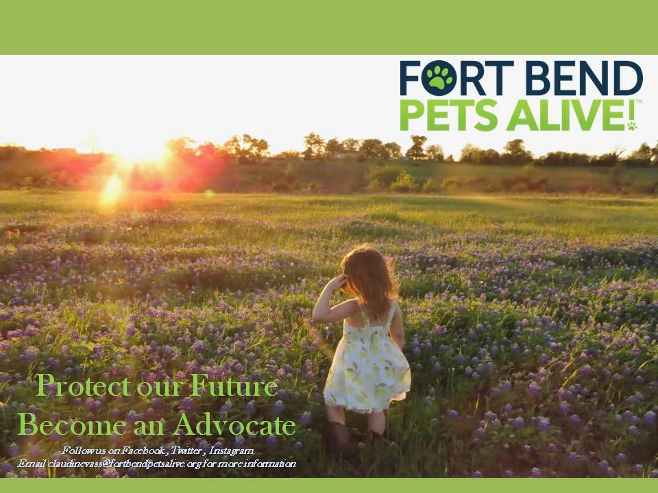 Pin by FBPetsAlive TEXAS on compassion (With images