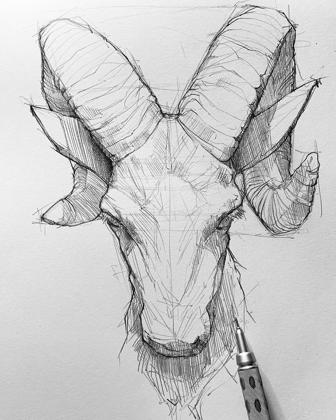 sketchart Animal Drawings Sketches Art Drawings Sketches Art animal-sketches-cute-animal-drawings-cat-character-character-design
