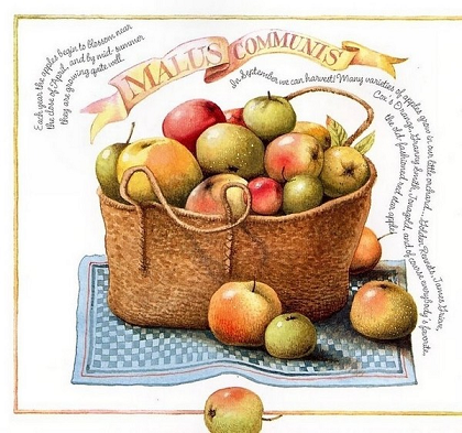 Epingle Par Yaser Ashour Sur Fazendinha Panier De Legumes Dessin Fruits Dessin Legumes