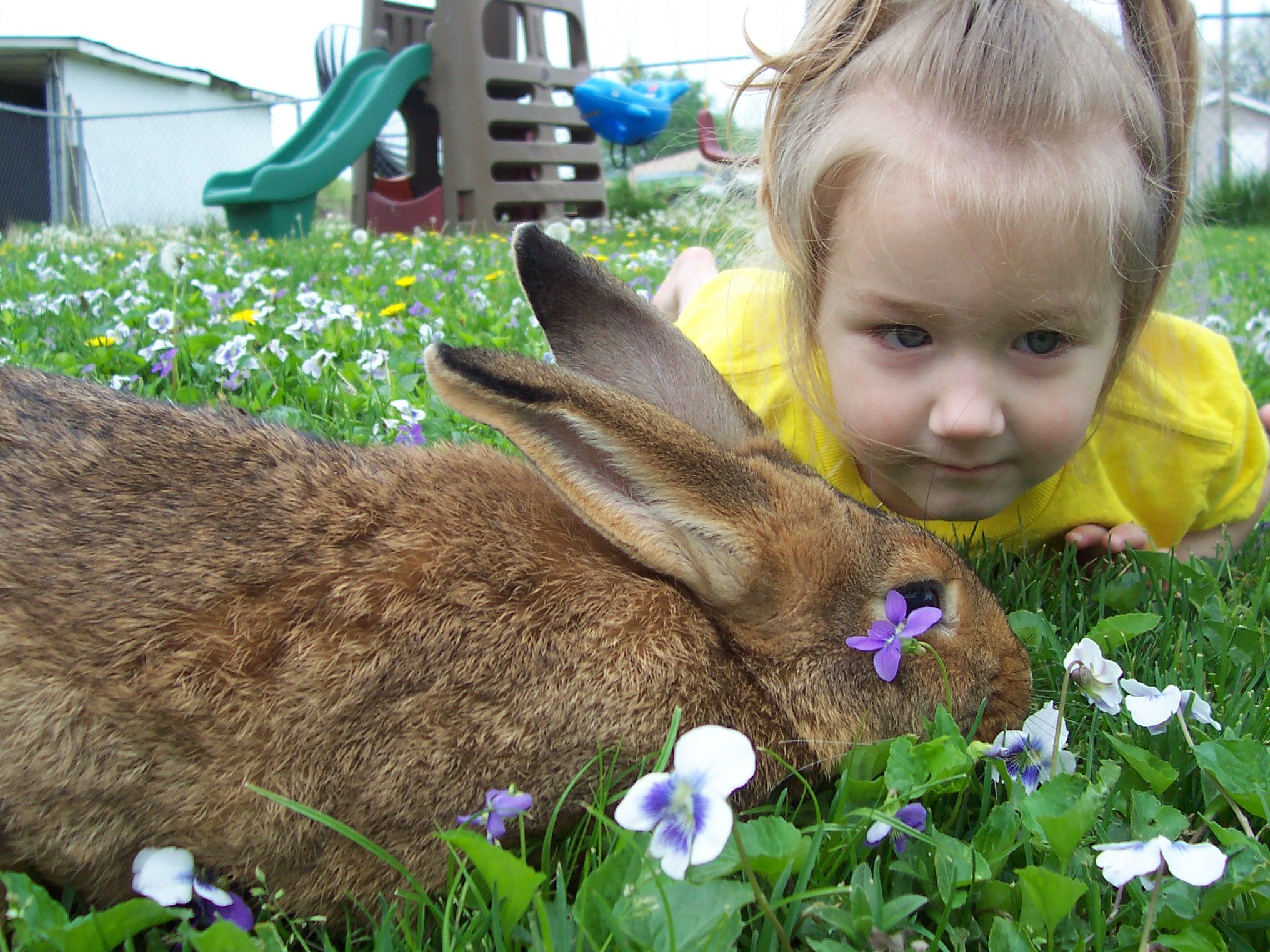 Kass And Peter Rabbit 06 kass-and-peter-rabbit-06