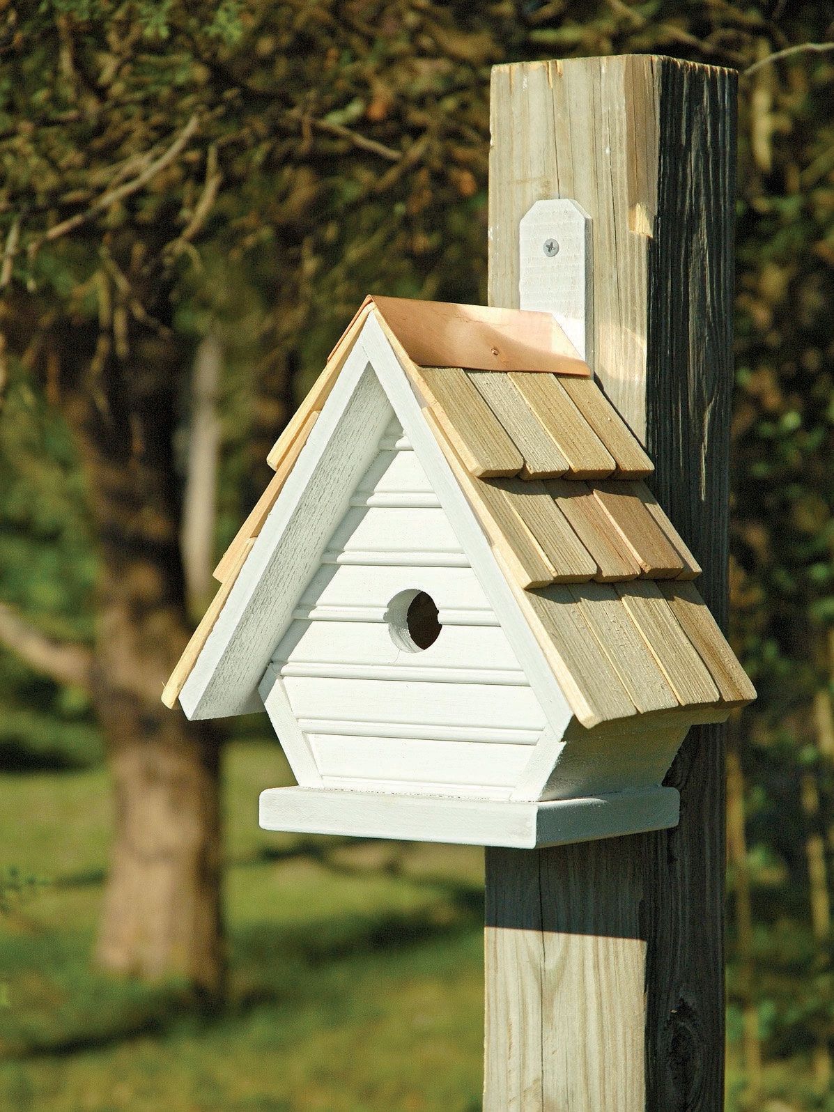 This bird house is make of solid cypress clapboard siding with a hand shingled roof and full copper trim. It includes ventilation, drainage, a rear cleaning door and a mounting paddle for easy hanging. 1-1/8" entry is perfect for chickadees, nuthatches and swallows. Proudly hand-crafted by Heartwood in the USA. Bat Houses, Bird Houses Diy, Decorative Bird Houses, Clapboard Siding, Birdhouse Designs, Birdhouse Projects, Birdhouse Ideas, Bird Houses/feeders, Bird Tree