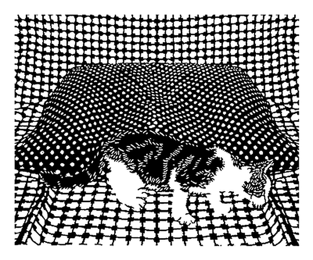 Download Papierschnitte Galerie 1 | Schnittchen, Papier, Scherenschnitt