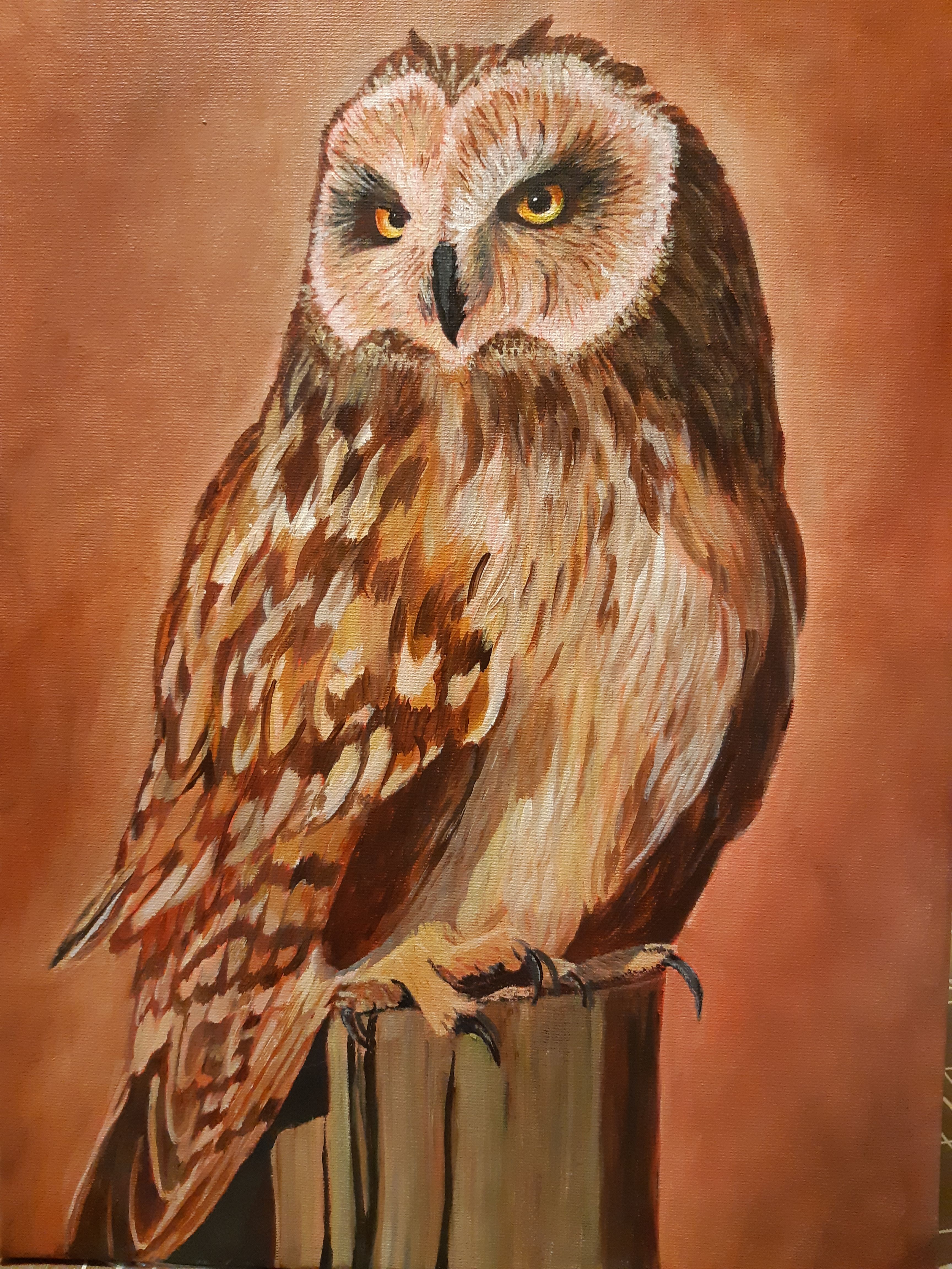 Owl Acrylic Painting Ideas At Mackenzie Boehm Blog 6197dde299750f1ce6d69532771cfe8c