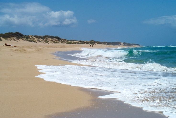 Barking Sands Beach Another Unusual In Hawaii With Images Barking Sands Beach Another Unusual