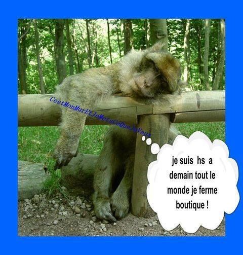 Téléchargement gratuit Images Tres Bonne Nuit La Famille One Love Bonne Nuit Drole Bonne le plus cool par