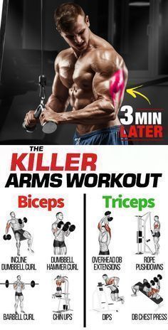 Killer Arms Workout | Triceps Exercises Killer Arms Workout | Triceps Exercises #beginnerarmworkouts Killer Arms Workout | Triceps Exercises Killer Arms Workout | Triceps Exercises #beginnerarmworkouts Killer Arms Workout | Triceps Exercises Killer Arms Workout | Triceps Exercises #beginnerarmworkouts Killer Arms Workout | Triceps Exercises Killer Arms Workout | Triceps Exercises #beginnerarmworkouts Killer Arms Workout | Triceps Exercises Killer Arms Workout | Triceps Exercises #beginnerar #beginnerarmworkouts
