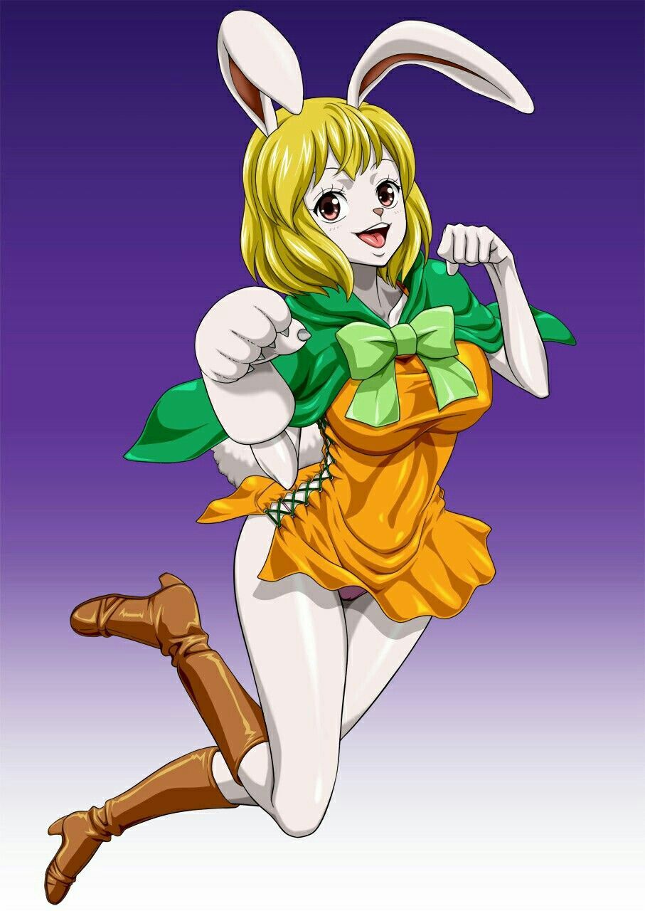 キャロット のアイデア 1 件 キャロット ワンピース キャロット ワンピース キャロット のアイデア 1 件 キャロット ワンピース キャロット ワンピース