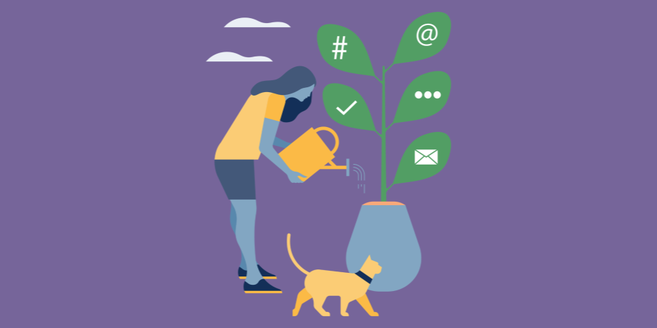 How to Get Free Instagram Followers 35 Tips that Actually