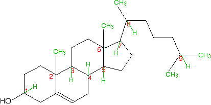 cholesterol molecule