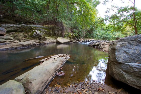 rottenwood creek ga