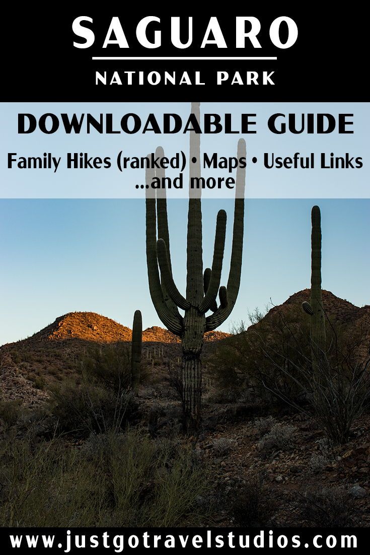 Our planning guide for Saguaro National Park will help you get started on your trip planning. We include maps, information on hiking, what to pack, where to stay and what to do nearby. #justgotravelstudios #saguaro #saguarotnationalpark #saguarohiking Planning Guide, Trip Planning, Arizona Travel Guide, Arizona Adventure, Havasu Falls, Lake Powell, Saguaro, Park Service, Best Hikes