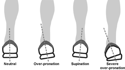 running shoes for neutral feet