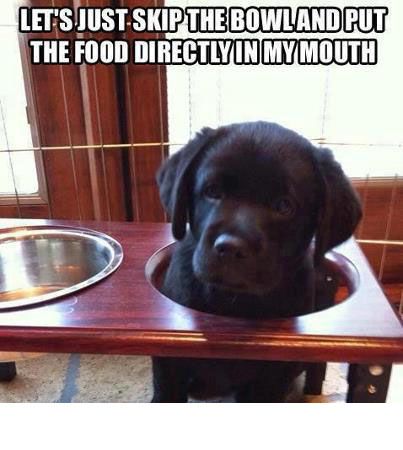 Pin by Lynn Nimsomboon on Stuff I Giggle About Funny
