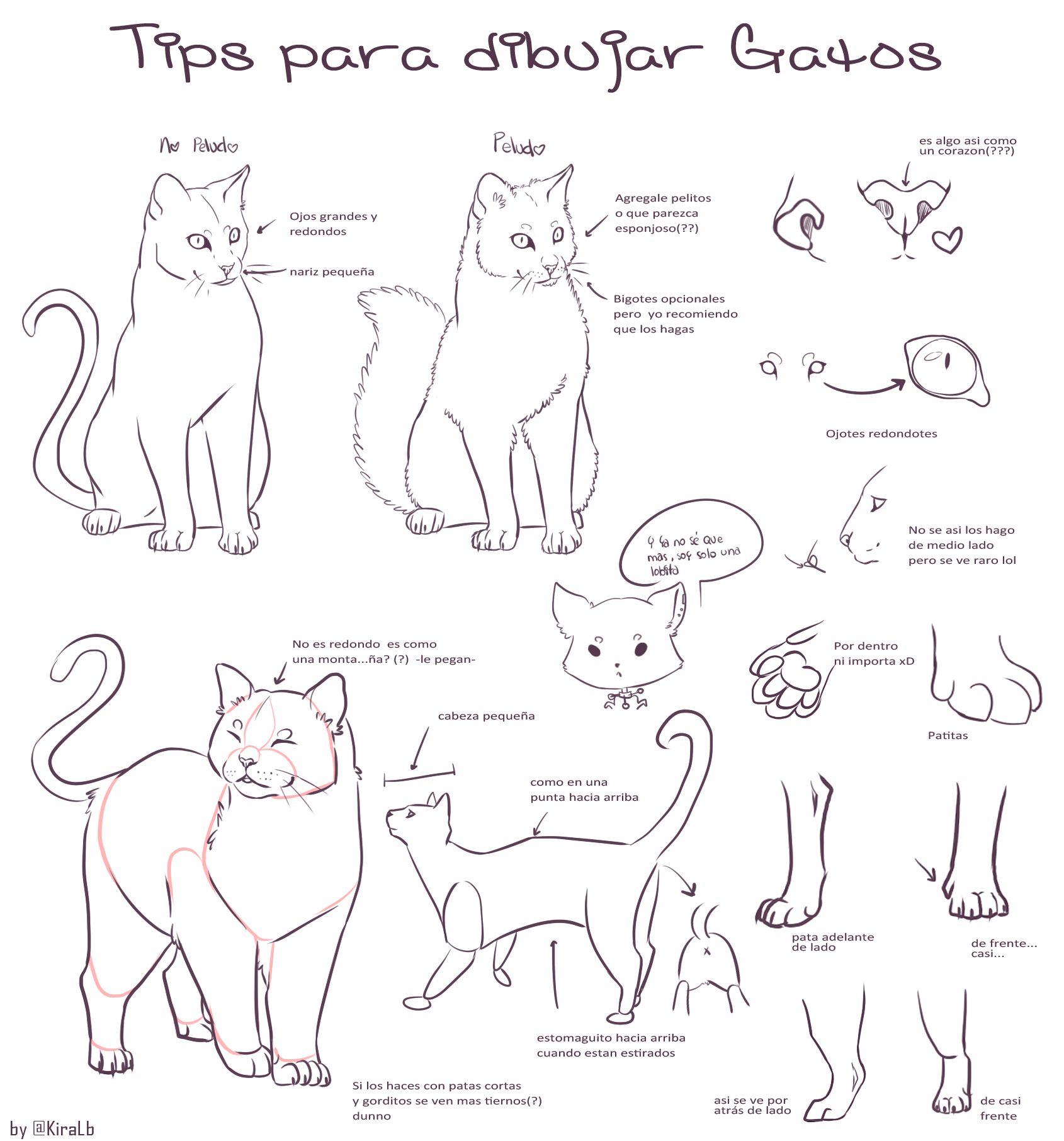 Best 13 How To Draw A Realistic Cat Draw Real Cat Step By Step Best 13 How To Draw A Realistic Cat Draw Real Cat Step By Step