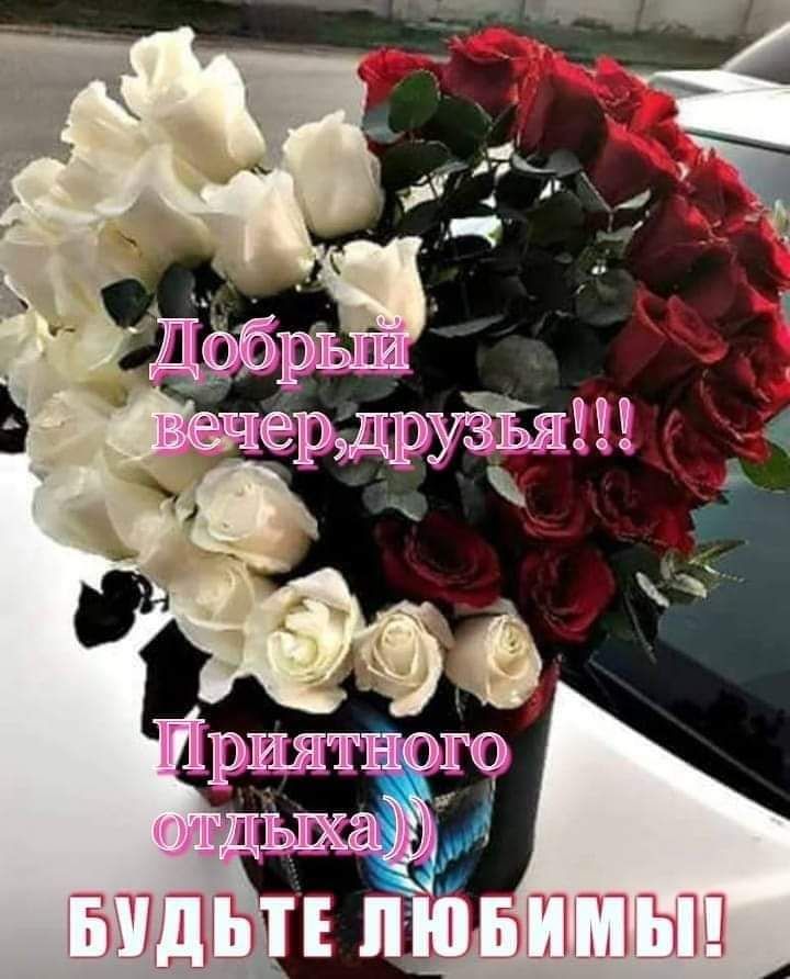 Фото Добрый Вечер Прикольные Фото Добрый Вечер Прикольные
