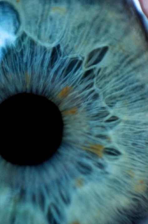 What Your Eye Color Says About You Will Blow Your What Your Eye Color Says About You Will Blow Your