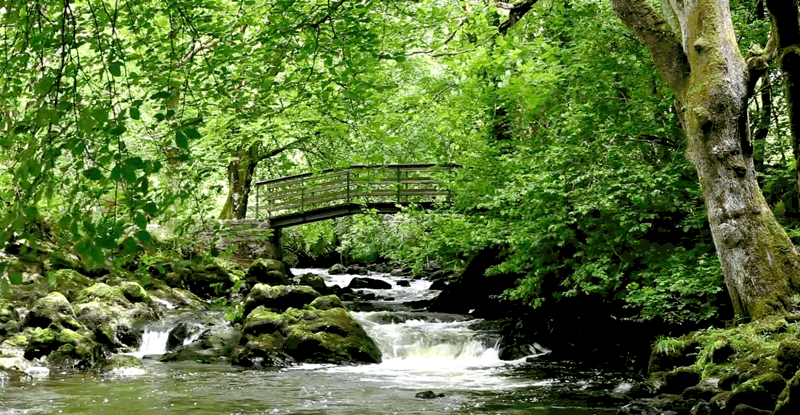 Image result for gif peaceful river gif