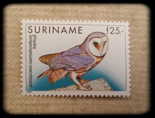 006 Barnowl postagestamp, Suriname. Stamp collecting, Paper 006 Barnowl postagestamp, Suriname. Stamp collecting, Paper
