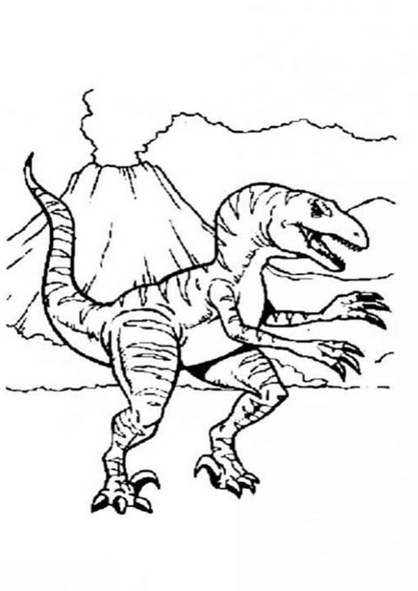 Download Allosaurus, : Allosaurus and Active Volcano Coloring Page | Dinosaur coloring pages, Animal ...