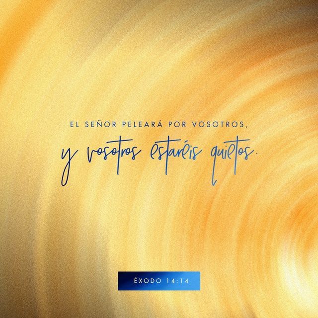 Faith Quotes Bible Quotes Marriage Verses Bible Online Mose Faith Quotes Bible Quotes Marriage Verses Bible Online Mose