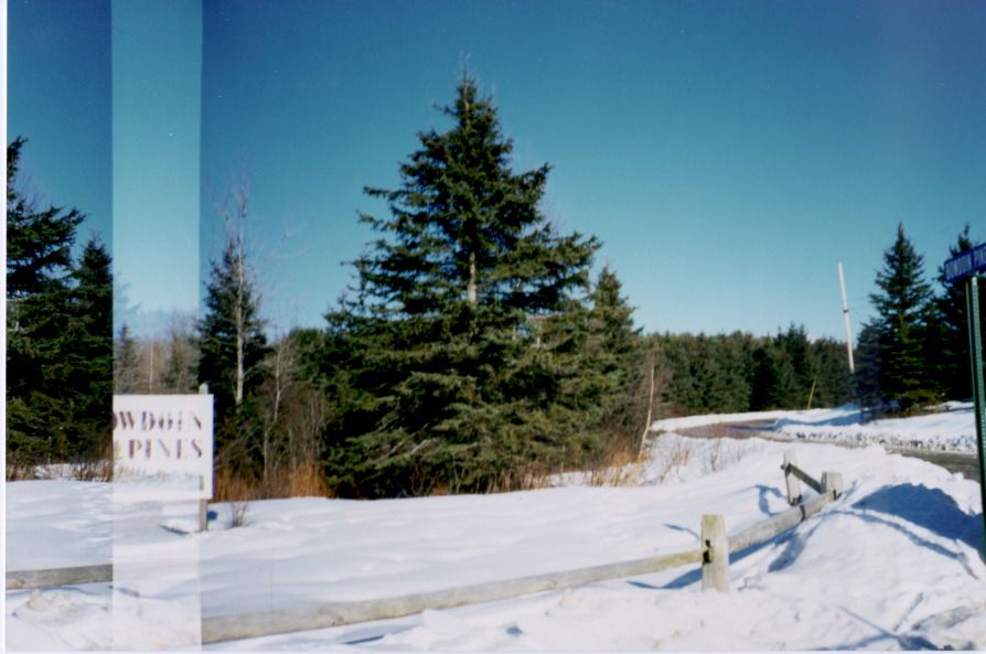 Bowdoin Pines Mh Park in Bowdoinham, ME Mobile home parks, Park, Outdoor