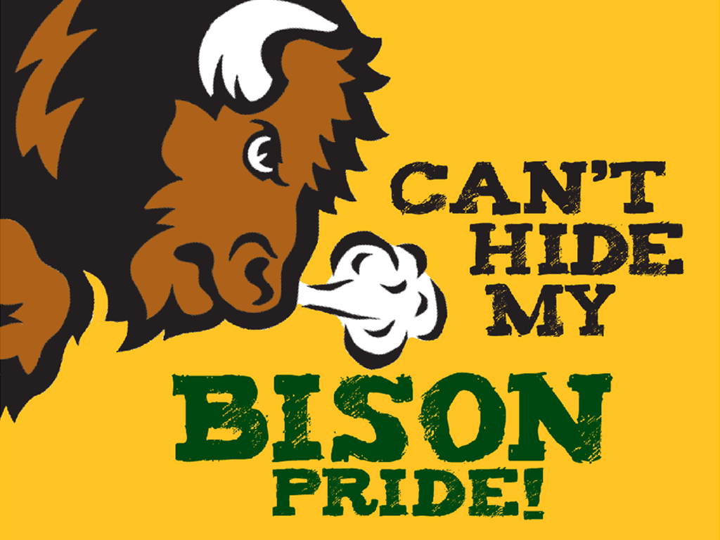 ndsu bison wallpaper wallpapersafari ndsu bison pinterest