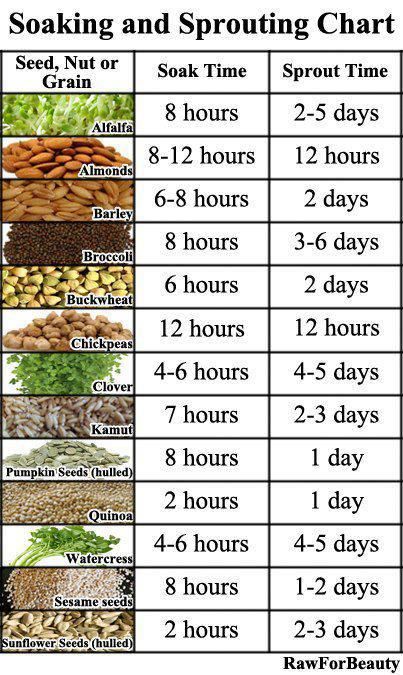 Soaking And Sprouting Chart Sprouts Veggie Garden Growing Vegetables Soaking And Sprouting Chart Sprouts Veggie Garden Growing Vegetables