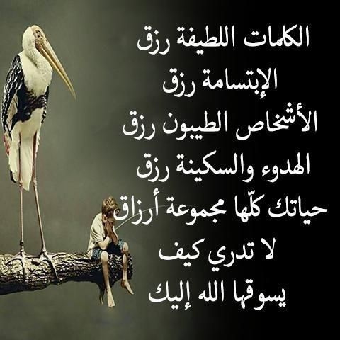 Pin By A M On Life Wisdom Quotes Photo Quotes Islamic Quotes