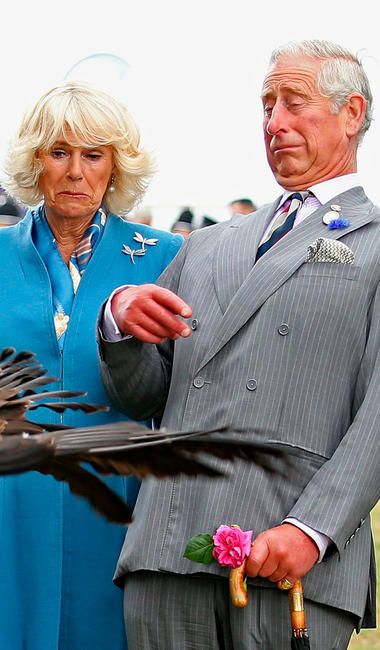 Vogelattacke Charles Und Camilla Die Fotogensten Royals Prinz Charles Und Diana Prinz Charles Und Camilla Britische Konigsfamilie
