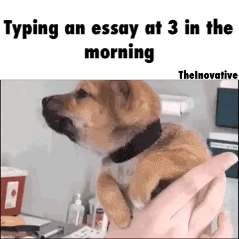 Typing An Essay At In The Morning He Moves Slower Than Pedro The Turtle Typing An Essay At In The Morning He Moves Slower Than Pedro The Turtle
