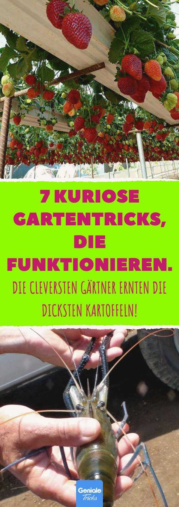 Massiv und modern: Dekoration aus Beton liegt voll im Trend. Simple Stücke wie ...