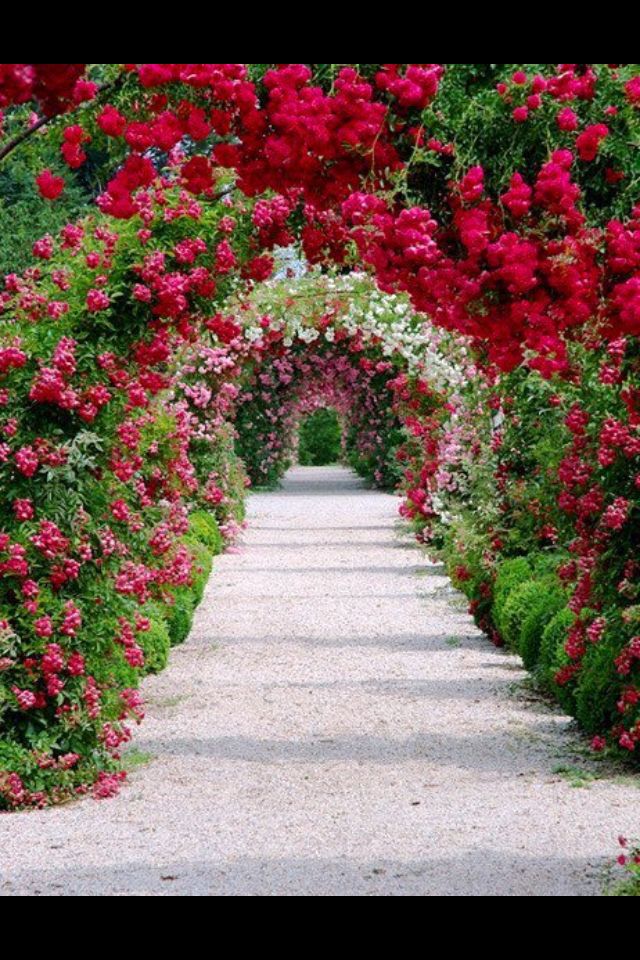 Flowers Paisajes Pinterest Jardines, Jardinería y Jardín - paisajes jardines Flowers Paisajes Pinterest Jardines, Jardinería y Jardín - paisajes jardines