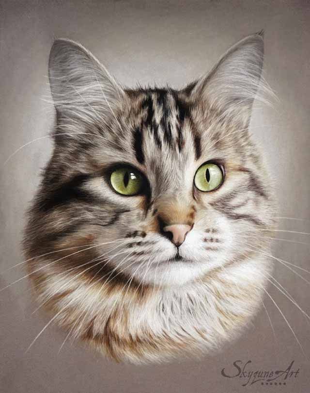 Gallery Skyzune Art Website Peintre Animalier Peinture De Chat Art Animalier Gallery Skyzune Art Website Peintre Animalier Peinture De Chat Art Animalier