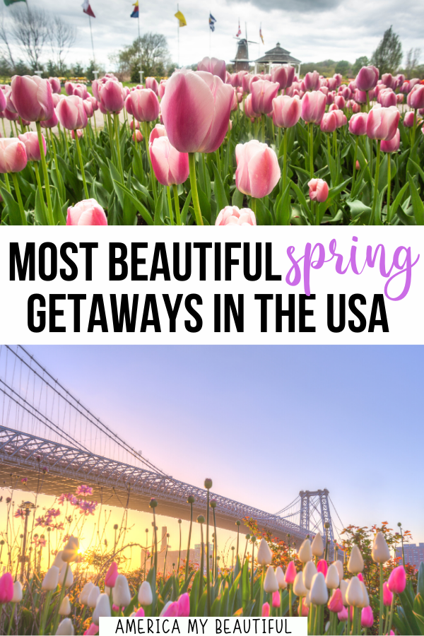 us spring travel destinations