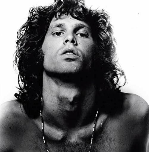 the doors everybody loves my baby hotspringspacoverreplacement