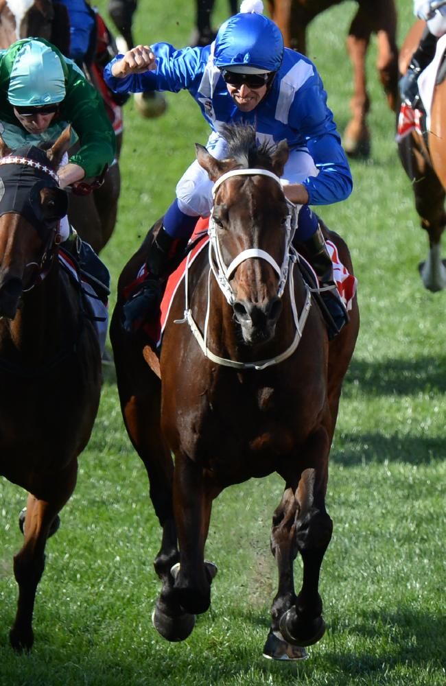 Why Australia s Best Racehorse Isn t In The Melbourne Cup Horse why-australia-s-best-racehorse-isn-t-in-the-melbourne-cup-horse