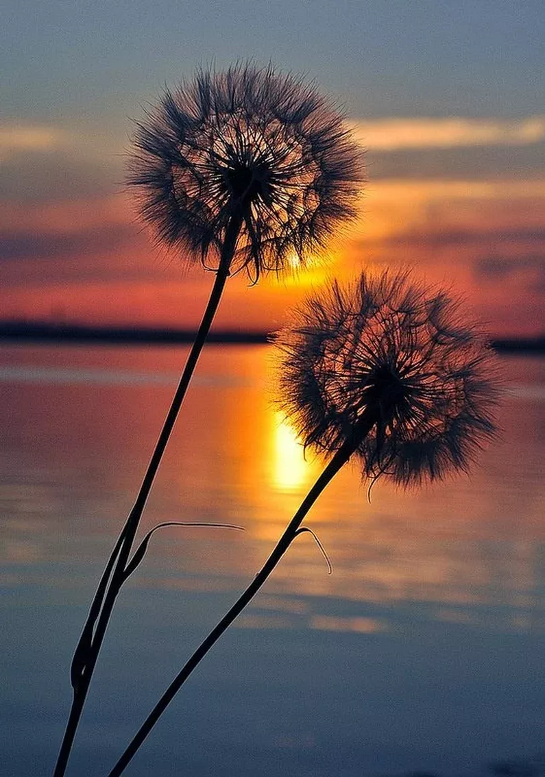 Irresistible Beautiful Images Amazing Photos Thoughts Irresistible Beautiful Images Amazing Photos Thoughts
