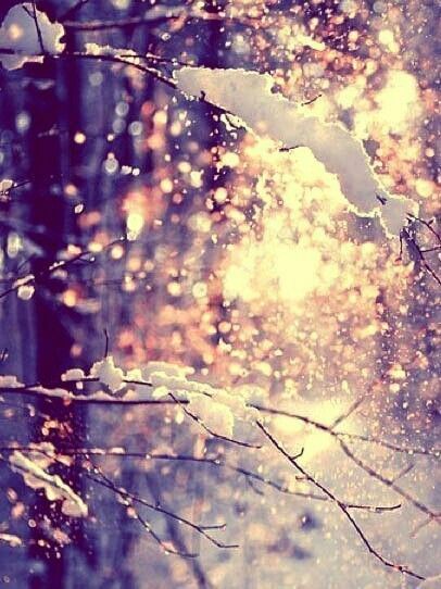 Pin By Annie On Winter Winter Scenery Winter Scenes Winter Love Pin By Annie On Winter Winter Scenery Winter Scenes Winter Love