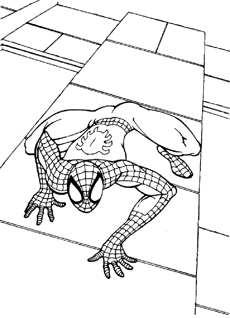 76 Disegni Di Spider Man Da Colorare Pagine Da Colorare Disney Disegni Spider Man